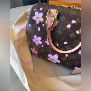 Louis Vuitton x Murakami cherry blossom speedy 25